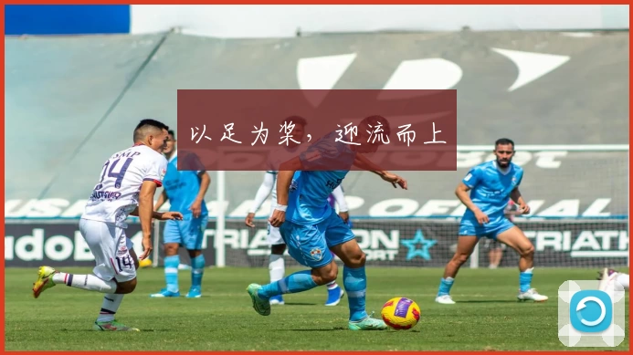 以足为桨，迎流而上