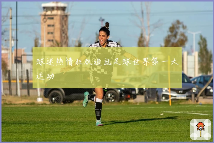 球迷热情狂欢造就足球世界第一大运动