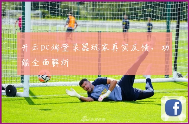 开云pc端登录器玩家真实反馈，功能全面解析