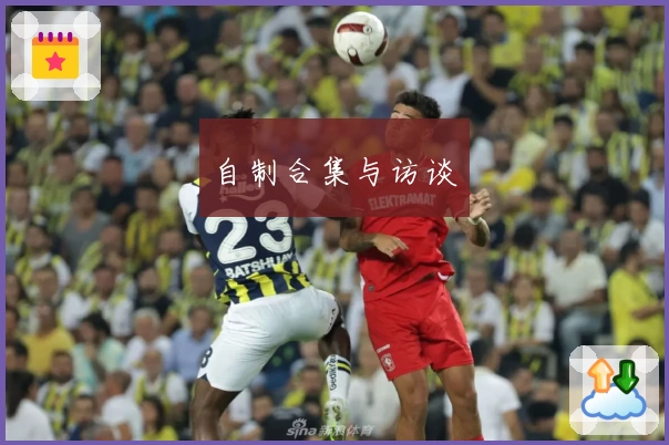 自制合集与访谈