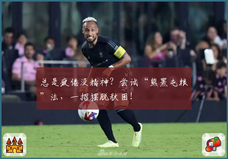 总是疲倦没精神？尝试“熊罴屯粮”法，一招摆脱秋困！