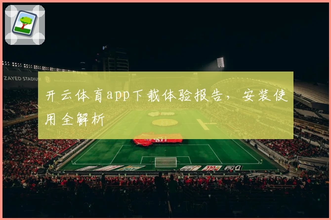 开云体育app下载体验报告，安装使用全解析