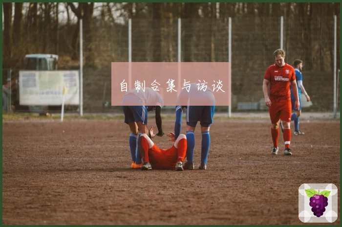 自制合集与访谈